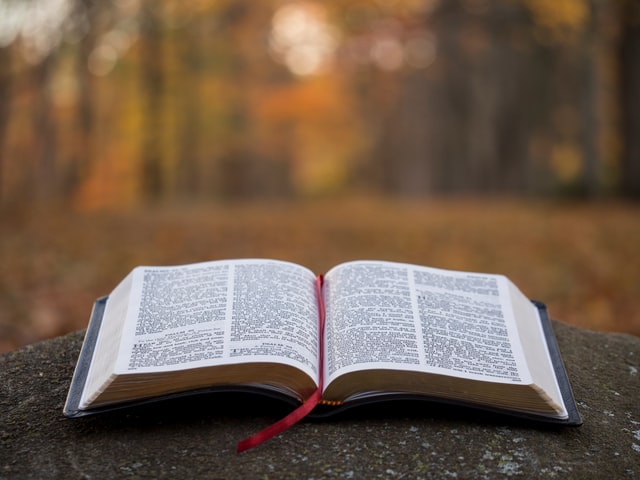 The book where Ezekiel bread comes from.